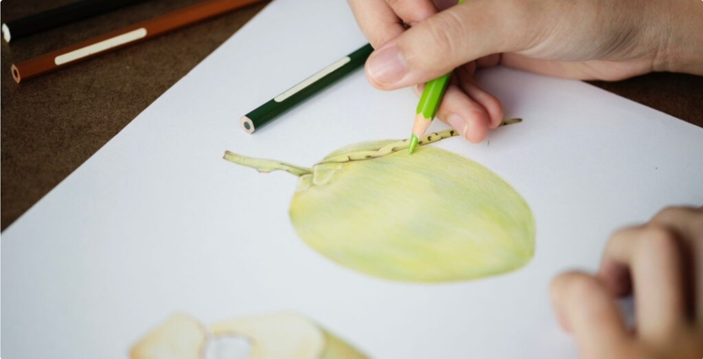 Foto: Prefeitura de Joinville - 