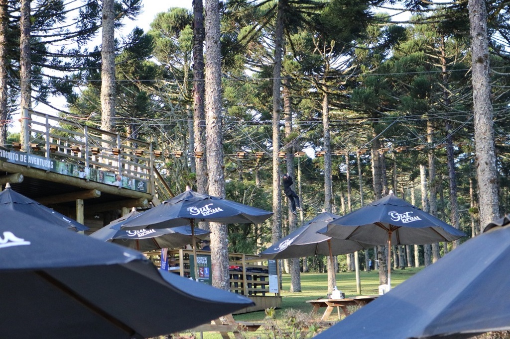 Foto: DIvulgação - 